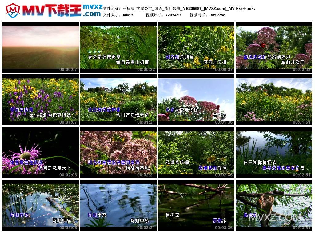 王庆爽-文成公主_国语_流行歌曲_MB205687